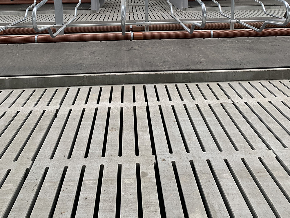 Ruszta betonowe a komfort zwierząt – jak odpowiedni wybór wpływa na ich samopoczucie?