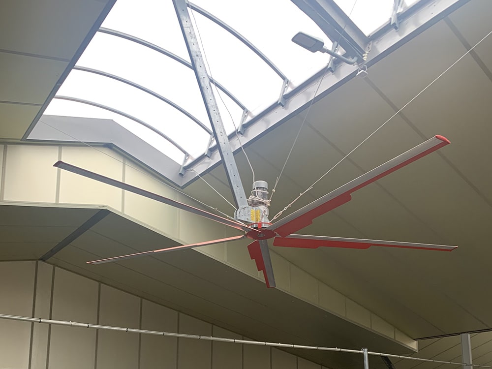 Nowoczesne technologie w wentylatorach do obór – co warto wiedzieć?