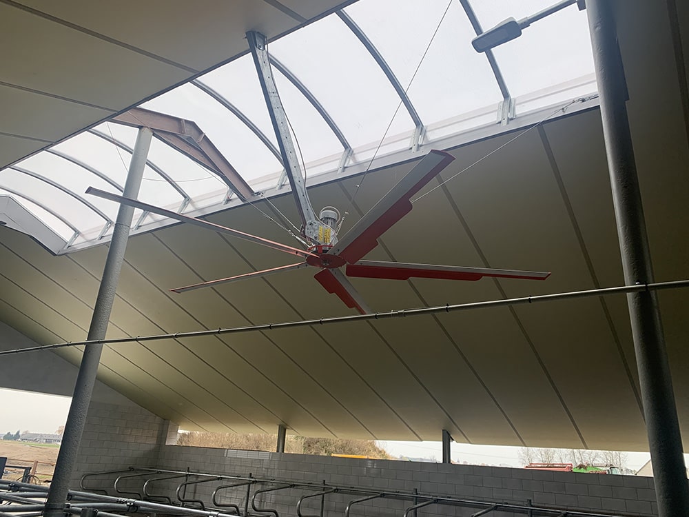 Jakie są korzyści z zastosowania wentylatorów w nowoczesnych oborach?