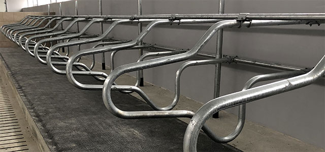 Wygrodzenia dla bydła a ich rola w zarządzaniu ruchem zwierząt.